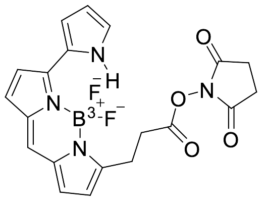 BODIPY 576/589 NHS Ester