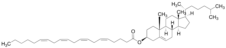 Cholesteryl Arachidonate