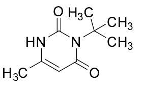 3-tert-Butyl-6-methyl-1,2,3,4-tetrahydropyrimidine-2,4-dione