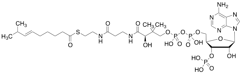 8-Methyl-6-nonenoyl-CoA