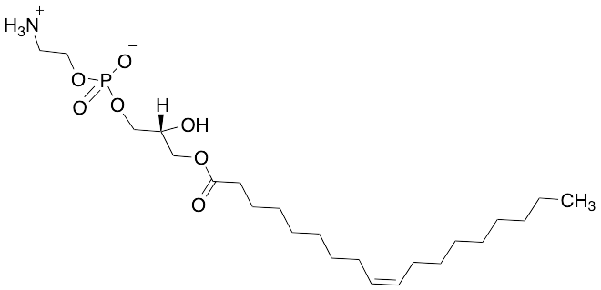 Lysophosphatidylethanolamine