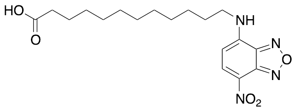 12-(7-Nitrobenzofurazan-4-ylamino)dodecanoic acid