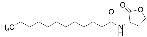 Dodecanoyl-L-homoserine Lactone