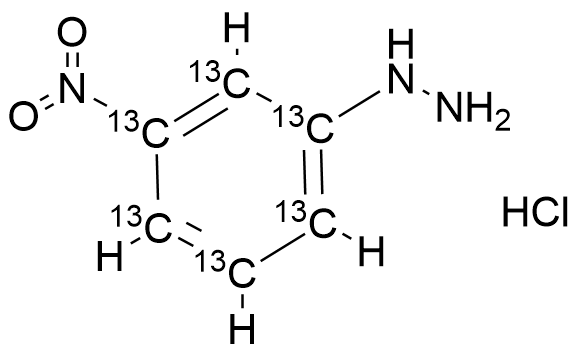 (3-Nitrophenyl)hydrazine (13C6) Hydrochloride
