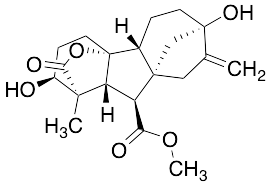 Gibberellin A1 Methyl Ester