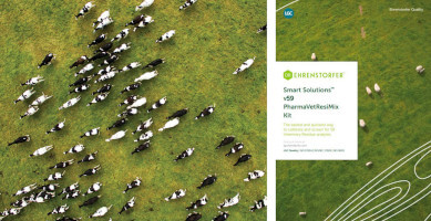 Feature Link Image Main W389 x H200 Pharma.jpg