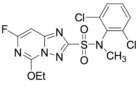 N-Methyl Diclosulam