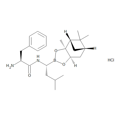 (alphaS)-alpha-Amino-N-[(1R)-1-[(3aS,4S,6S,7aR)-hexahydro-3a,5,5-trimethyl-4,6-methano-1,3,2-benzodioxaborol-2-yl]-3-methylbutyl]benzenepropanamide Hydrochloride (Bortezomib Intermediate II)