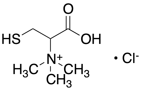 Cysteine Betaine