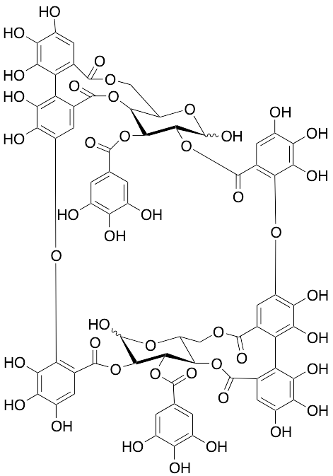 Oenothein B