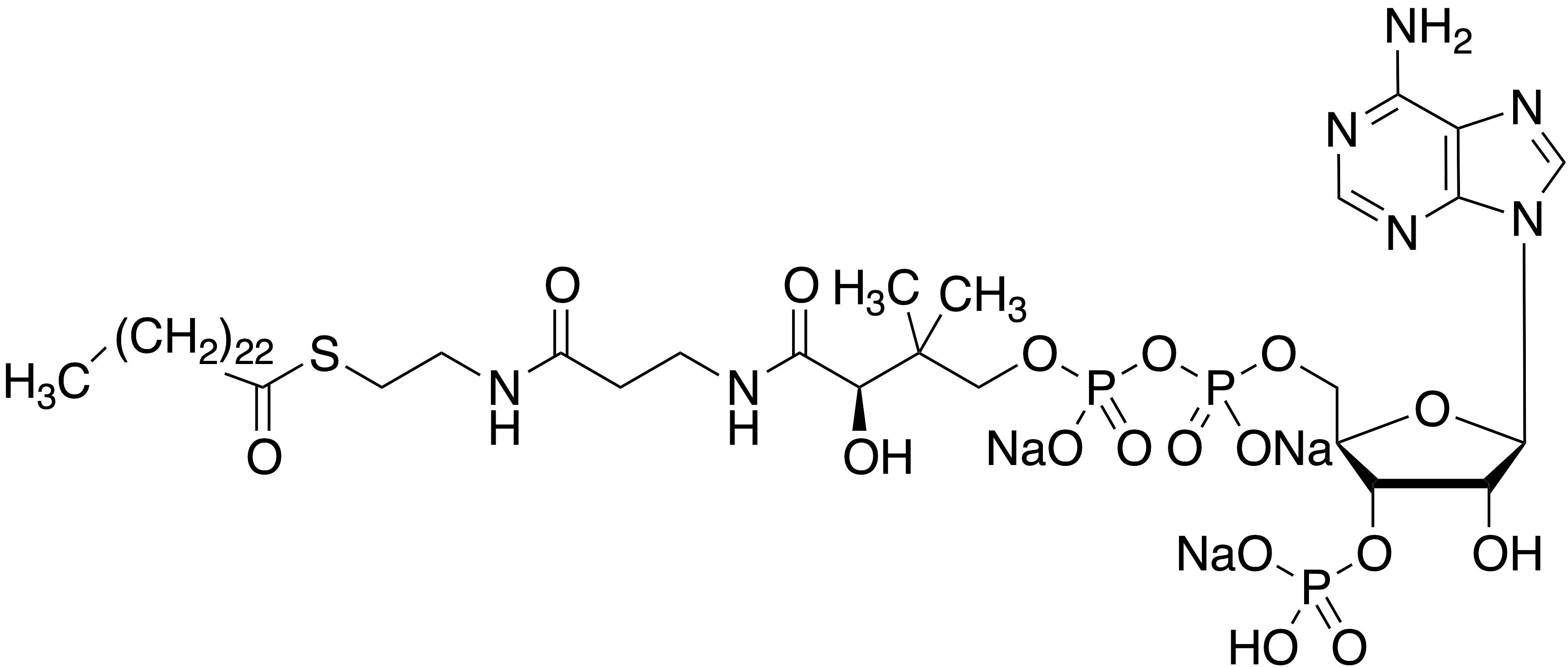 Lignoceroyl Coenzyme A Sodium Salt