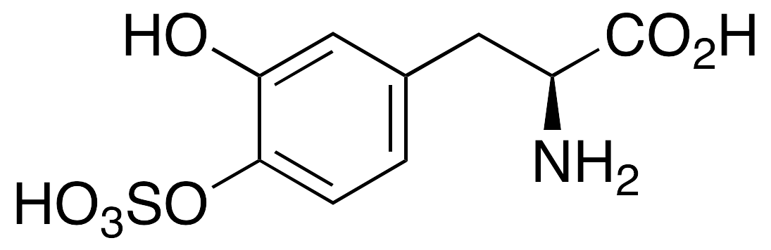 L-DOPA-4’-Sulfate