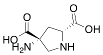 (2R,4R)-APDC