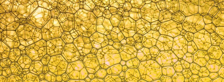 Axio_Salmonella_Whitpaper_950 x 350px (1).jpg