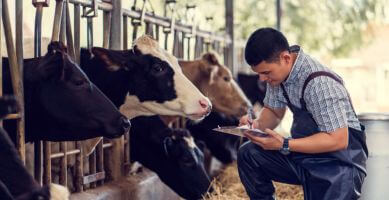 EFF-VetRs_Whitepaper_389 x 200px.jpg