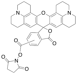 5(6)-Carboxy-X-rhodamine N-Succinimidyl Ester