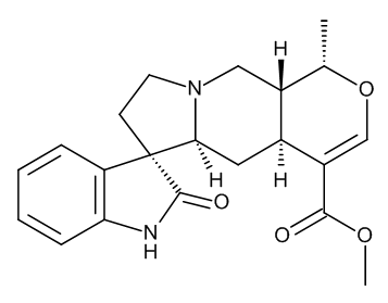 Isomitraphylline
