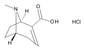 Anhydroecgonine Hydrochloride 1.0 mg/ml in Water (as free base) - CAS No. 74242-55-0 Anhydroecgonine Hydrochloride 1.0 mg/ml in Water (as free base)