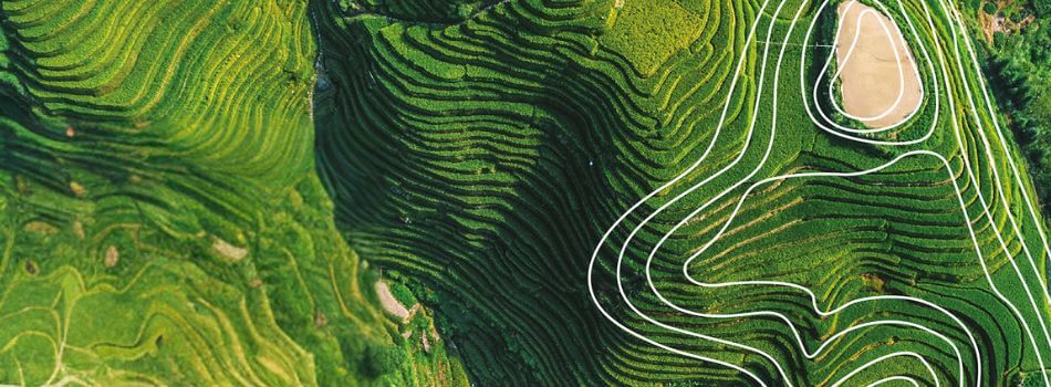 DRE_heritage_infographic_hero_950 x 350px.jpg