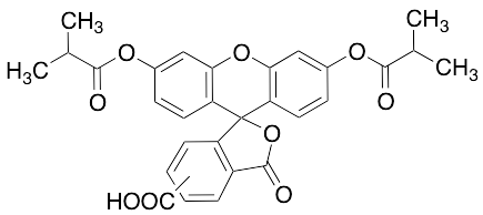 5(6)-Carboxyfluorescein Diisobutyrate