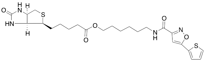Biotinylated isoxazole