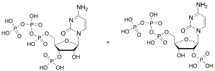 Cytidine 5’-Triphosphate, 3’-phosphate, 1:1 mixture with Cytidine 5’-Triphosphate, 2’-phosphate