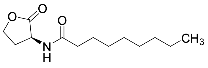 N-Nonanoyl-L-homoserine Lactone