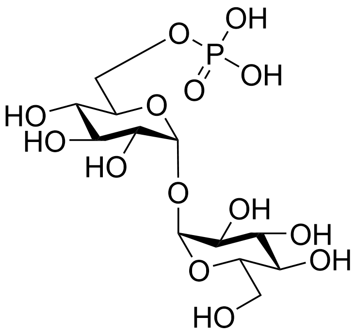 alpha,alpha-Trehalose 6-phosphate