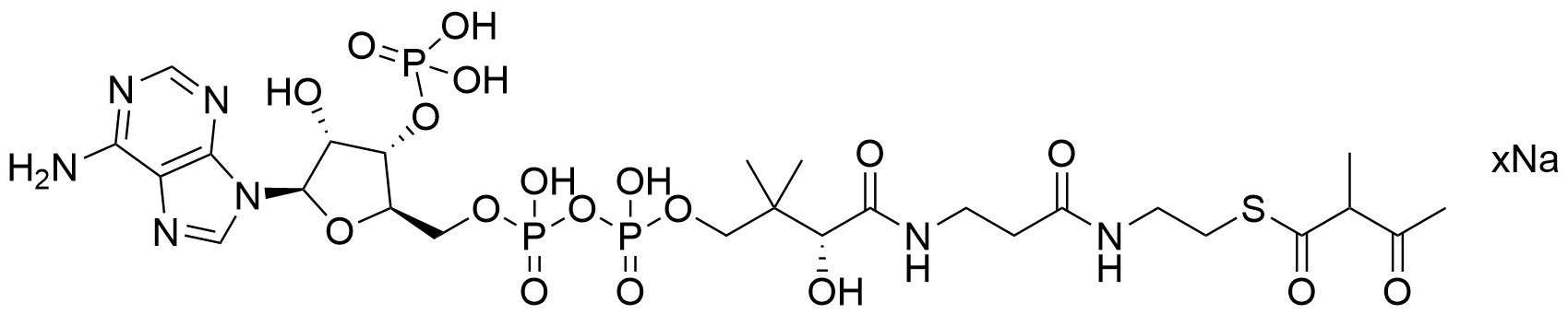 2-Methylacetoacetyl CoA Sodium