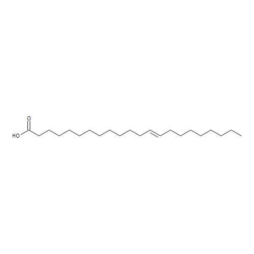 (13E)-13-Docosenoic Acid
