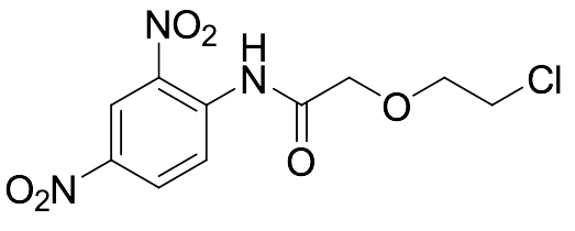2-(2-Chloroethoxy)-N-(2,4-dinitrophenyl)acetamide