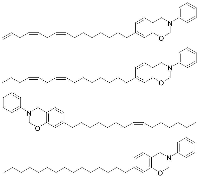 Cardanol Based Benzoxazine (Mixture)