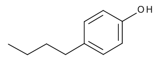 4-n-Butylphenol - CAS No. 1638-22-8 4-n-Butylphenol