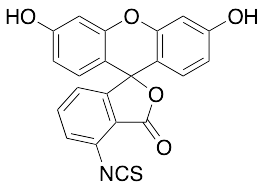 6-Fluorescein Isothiocyanate