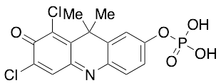 1,3-Dichloro-9,9-dimethyl-7-(phosphonooxy)-2(9H)-acridinone
