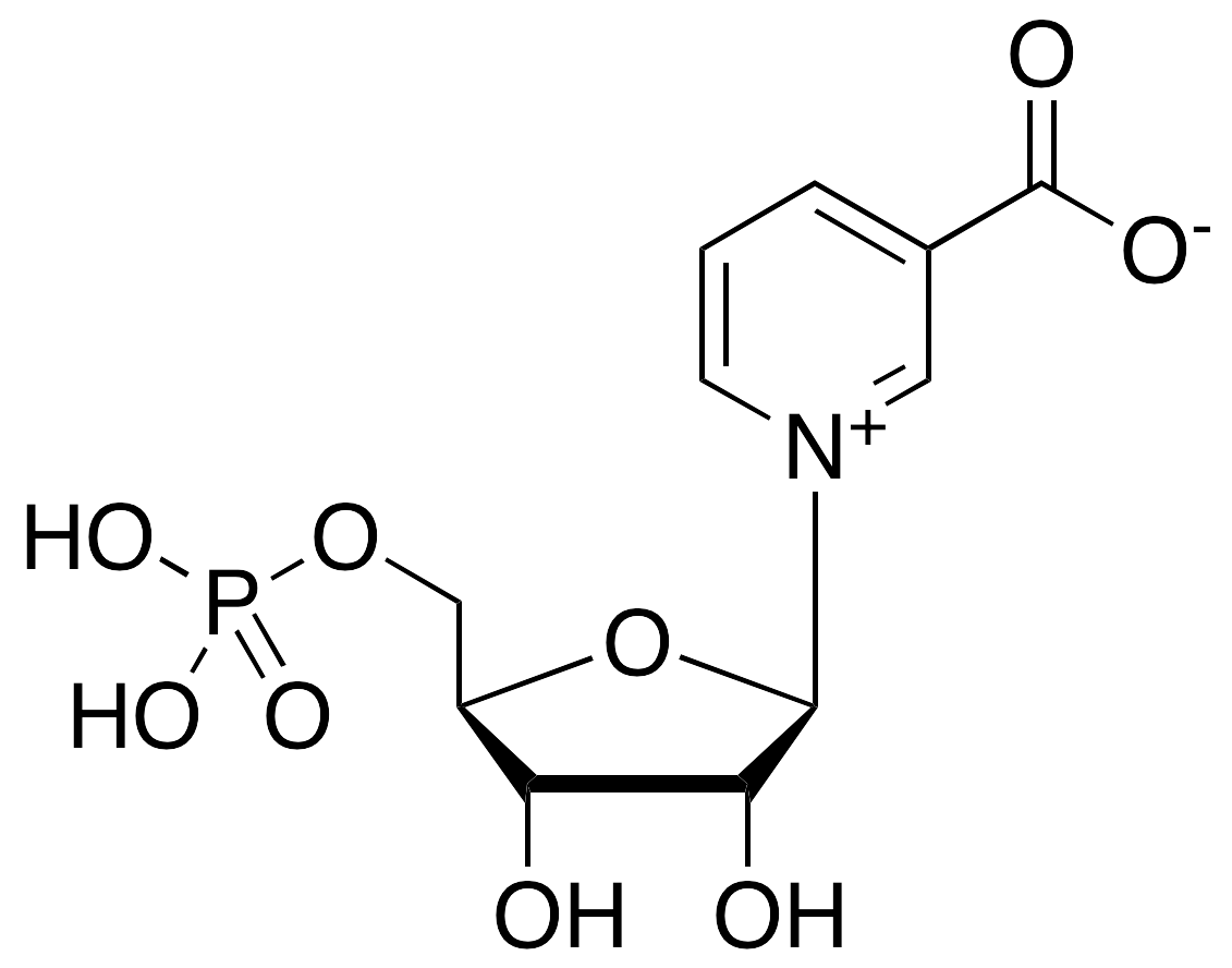 Beta-Nicotinic Acid Mononucleotide