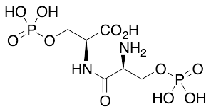 Phosphoseryl Phosphoserine