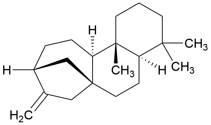 Ent-Kaurene (>90%)