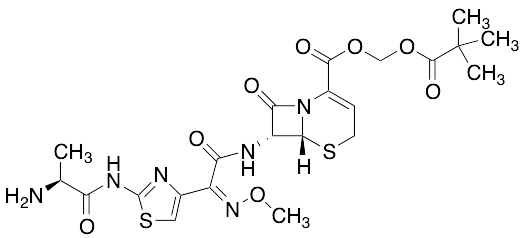 Ceftizoxime Alapivoxil