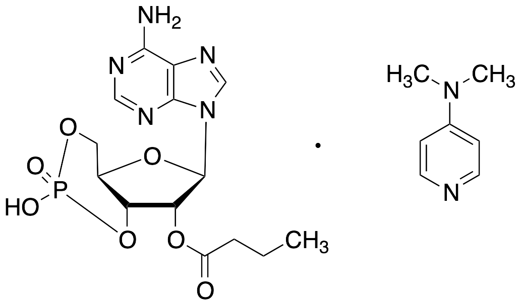2'-O-Butyryladenosine 3',5'-cyclic phosphate DMAP