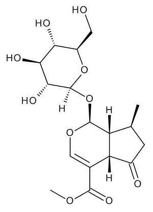 Verbenalin CRS