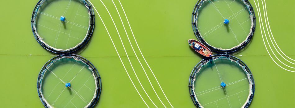 PFAS_white_paper_banner_950 x 350 px.jpg