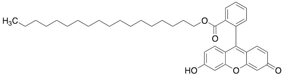 Chromoionophore XI