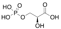 L-3-Phosphoglyceric Acid