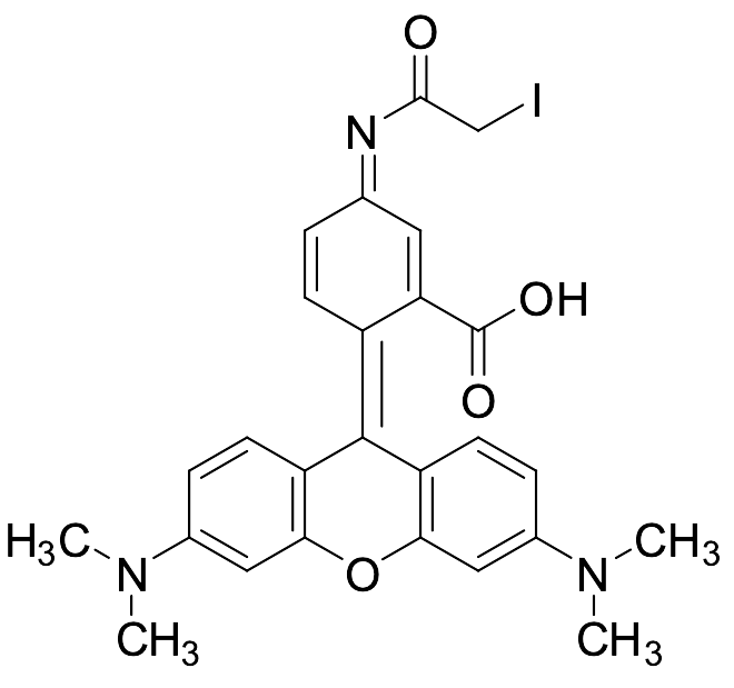 Tetramethylrhodamine-4-iodoacetamide