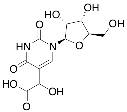 5-Carboxyhydroxymethyluridine