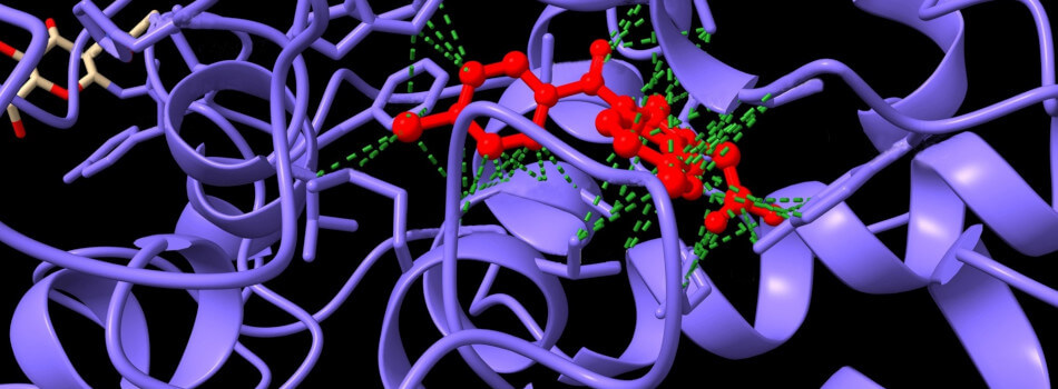 TRC protein profiling webinar-950x350.jpg