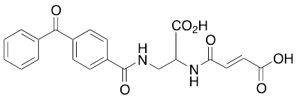 3-(Benzophenone-4-carboxamido)-2-hemimaleaimidopropanoic Acid