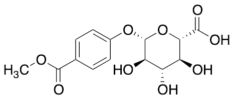 Methyl Paraben Beta-D-Glucuronide