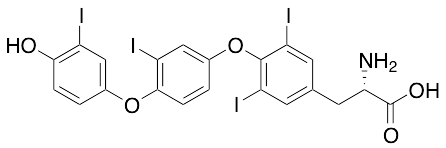 (S)-2-Amino-3-(4-(4-(4-hydroxy-3-iodophenoxy)-3-iodophenoxy)-3,5-diiodophenyl)propanoic Acid